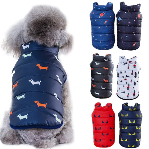 CASACO DE INVERNO PARA CÃES PEQ. PAWSTRIP