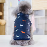 CASACO DE INVERNO PARA CÃES PEQ. PAWSTRIP