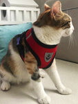 COLEIRA PEITORAL AJUSTÁVEL PARA GATOS E CÃES DCPET