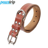 COLEIRA DE COURO PARA CÃES PH3561 PAWSTRIP