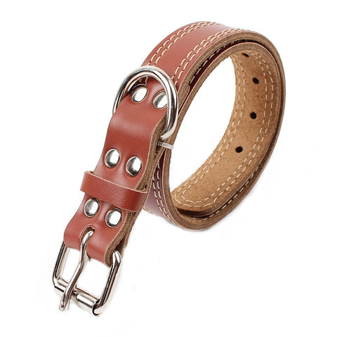 COLEIRA DE COURO PARA CÃES PH3561 PAWSTRIP