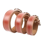 COLEIRA DE COURO PARA CÃES PH3561 PAWSTRIP