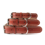 COLEIRA DE COURO PARA CÃES PH3561 PAWSTRIP