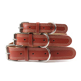 COLEIRA DE COURO PARA CÃES PH3561 PAWSTRIP