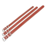 COLEIRA DE COURO PARA CÃES PH3561 PAWSTRIP